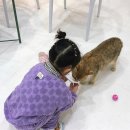 별다방 야옹이 이미지