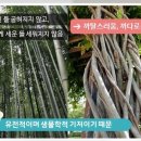 (4회) ＜까다로움과 까탈스러운 기질을 갖은 영아＞발달로 알아보는 영유아의 문제행동 이해하기 이미지