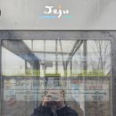 제주 올레길 14코스 | 3월 백서향 향기 가득한 제주 올레길 14-1코스