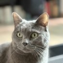 바다로글램핑 이미지