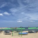 천진스테이 이미지