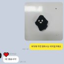 보들즈