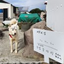 안덕면 서광동리 새마을회관 | 제주올레 10-1코스 가파도걷기