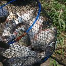 덕수농장 이미지