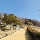 알로에테마파크 | 진도 가볼만한곳 - 진도개테마파크 &amp; 진도아리랑식물원