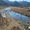 금수목장 이미지