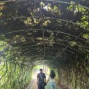 대가미공원_노인복지회관 이미지