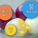 화랑헬스 네이버블로그