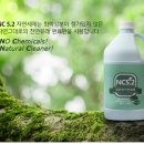 메이저리치안 이미지