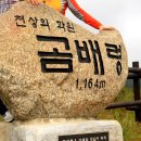 곰배령무지개펜션 이미지