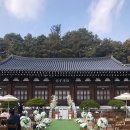 판암동161 | [대전웨딩홀]웨딩홀투어(쌍청,BMK,ICC,루이비스,라도무스)