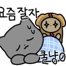 수정스테이 이미지