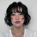 아즈뮤헤어 이미지