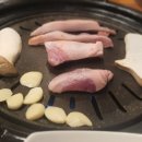 돼지먹고행복하소 이미지