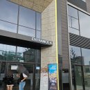 씨유 동성로SK리더스뷰점 | 대구 캣플헤븐 동성로 고양이 카페 내돈내산 솔직 후기