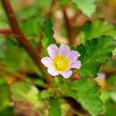 불암초등학교 이미지