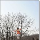 민속촌 Daum카페