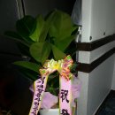 안성수퍼식당 이미지