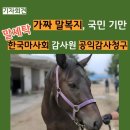 승용목장 이미지