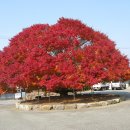 대구면사무소 이미지