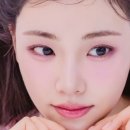 티팔레트