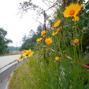 갈골펜션 이미지