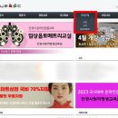 아이옵트