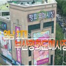 평화포목
