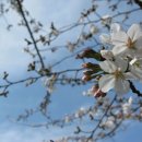 다시봄날 이미지