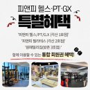 피앤피짐 이미지