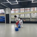 STS한국체대태권도 이미지