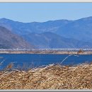 남지자전거길 이미지