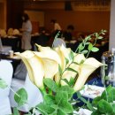 중부-현장-중부-2017 이미지