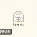 늘봄펫살롱 | (평택, 강아지, 고양이, 애견미용, 추천!) 늘봄펫살롱 평택 늘봄펫살롱, 맞춤 케어로 반려동물 안심