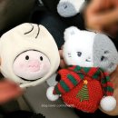 (주)고릴라바나나 | 260111 엑디즈 오사카 공연