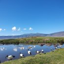 세레나몰 이미지