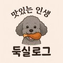 앞산큰골집 본점 | 대구 앞산큰골집 앞산본점 방문 솔직후기