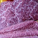 상록센트럴빌딩 이미지