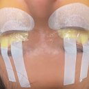 스킨누보세븐 이미지