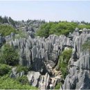 석림조경