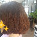 아무르헤어 - 고양시 덕양구 | 아무르헤어