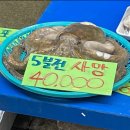 11620-25-5-6 | [25일상] 5월 &amp; 6월 후기 : 벌써 덥냐