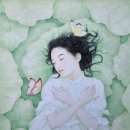 은은한 선 이미지