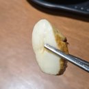 고기극찬 명지점 | 부산 명지 맛집 인생목살추천 모옥살 명지점