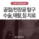 (주)울산응급환자이송단 | 고양이 사고 골절/천장골 탈구 수술 및 재활치료•침치료: 뒷다리 마비 회복 후기 - 울산 에스동물병원
