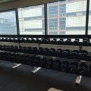 리스펙짐 이미지