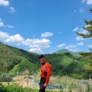 역둔리마을회관 이미지