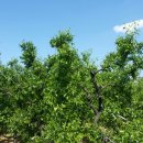 도담도담농장 이미지