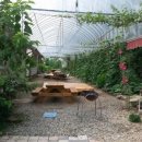 횡성산촌민박 이미지