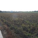 상모1리사무소 이미지